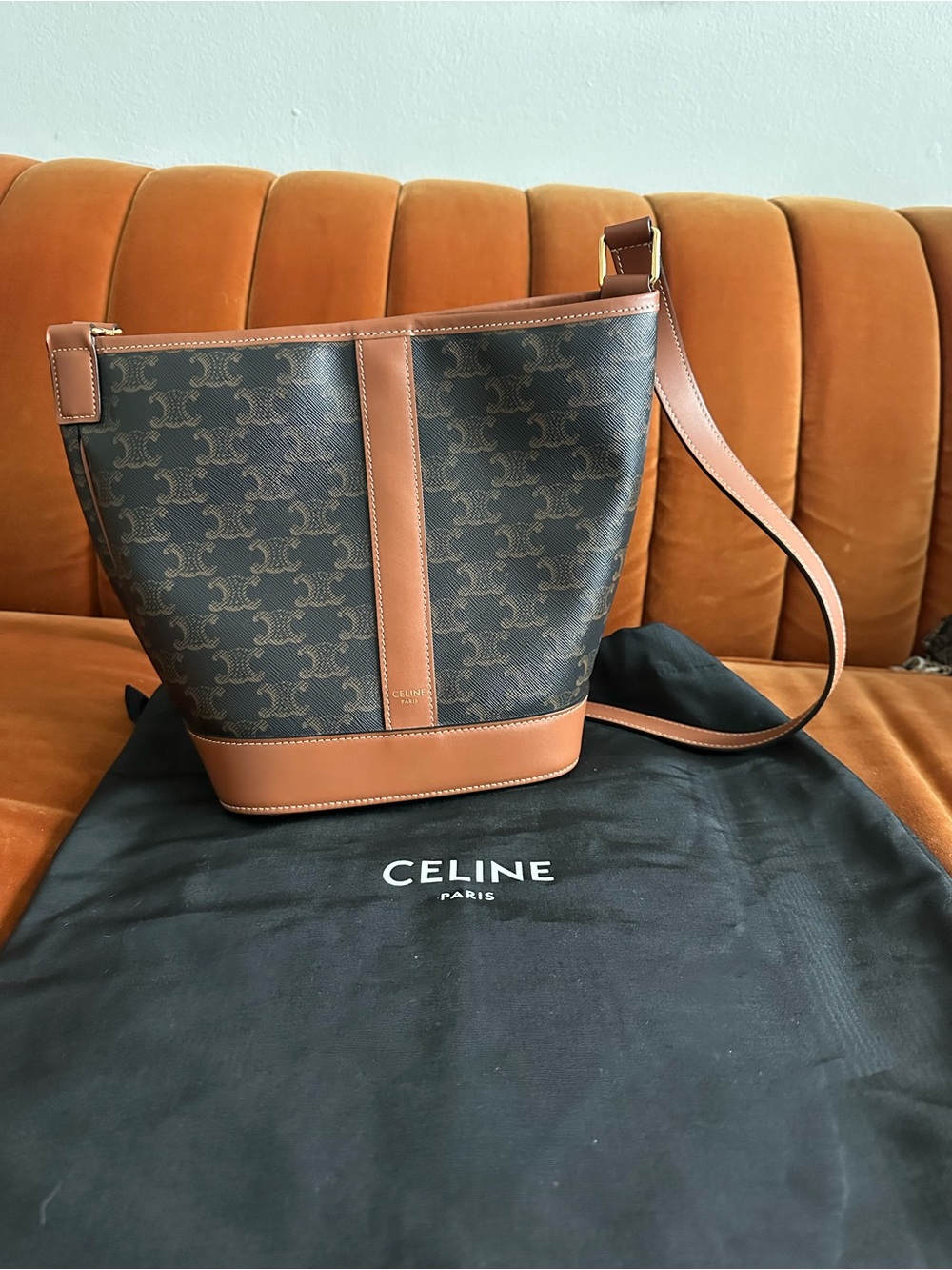 Celine Tote Bag in Brown and Tan Suede Interior